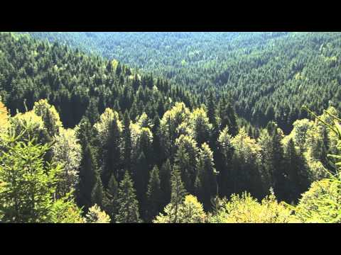 The Carpathians - Europe&#039;s Only True Wilderness