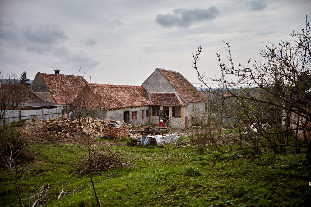 Blick vom Garten zum Haus Blick vom Garten zum Haus