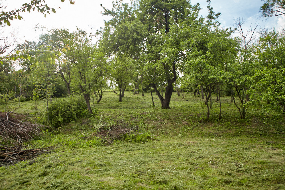 Der Garten nach dem monatlichen Roden Der Garten nach dem monatlichen Roden