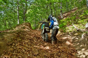 Hohlweg bei Brebu Nou