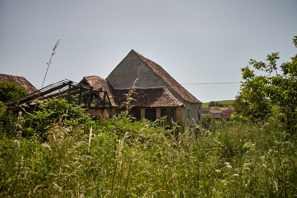 Blick aus dem Garten Blick aus dem Garten