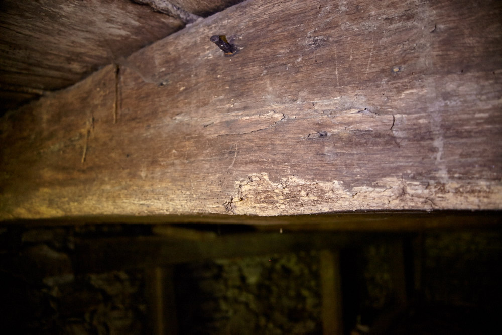 Eichenbalken im Keller Eichenbalken im Keller